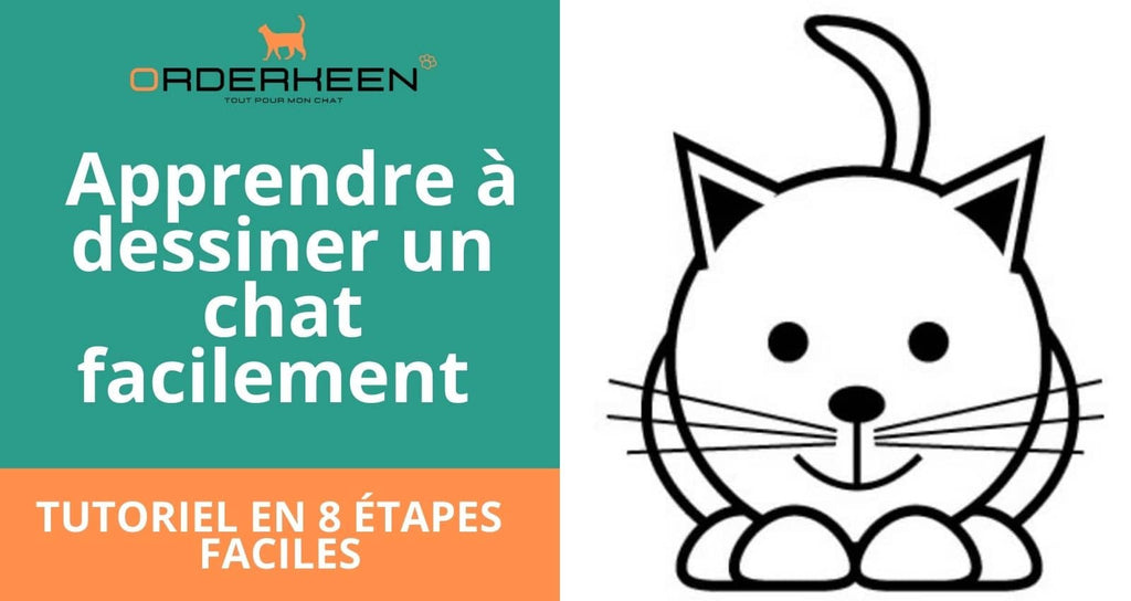 Video De Comment Faire Un Chat Doc