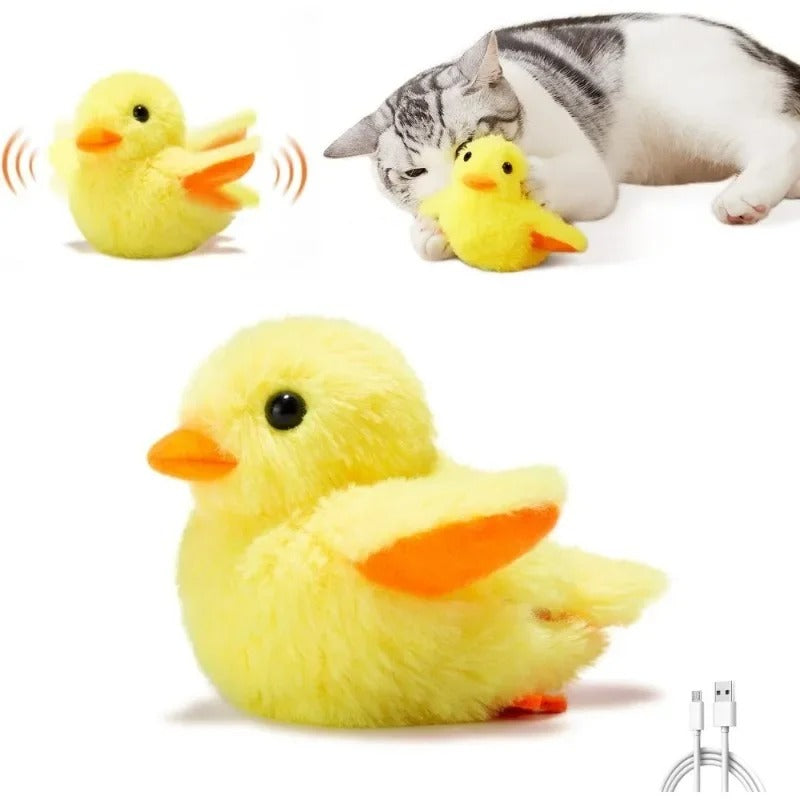 oiseau pour chat qui vole lidl