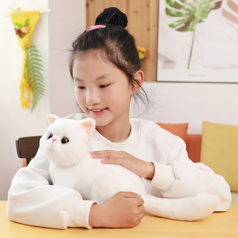 White Kitten Plush Orderkeen