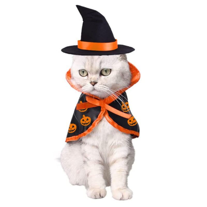Deguisement Halloween Chaton