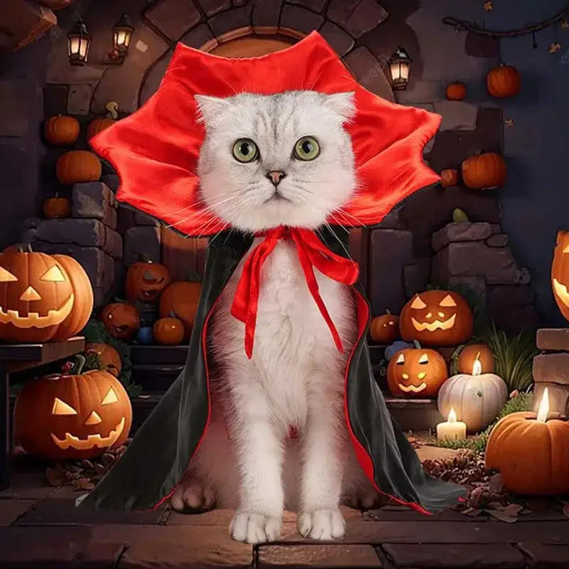 Sitemapcdatahttpsshopinf Inetcomdeguisement Halloween Chaton