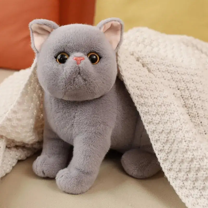 Peluche Chaton Gris Orderkeen
