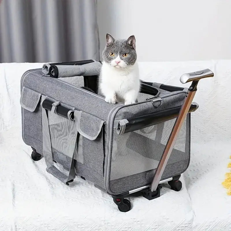 Sacoche de transport pour chat sur roulette