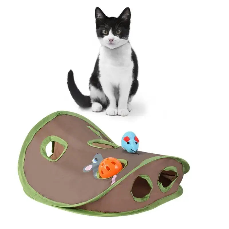 tapis de jeu pour chat action