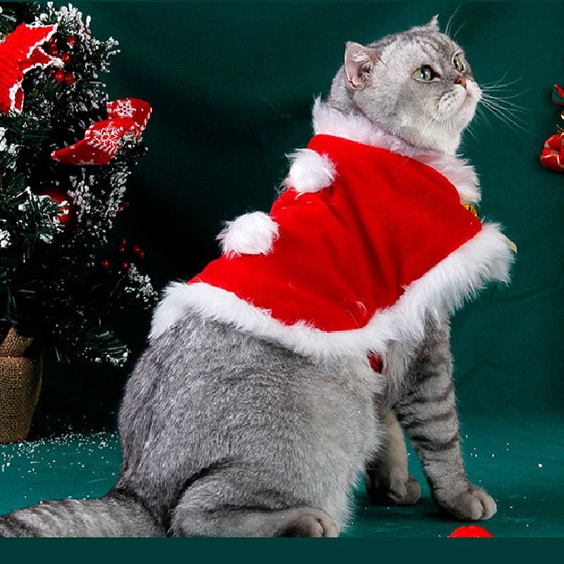 Cat Vetement Noel Chat Bonnet Vetement Chat Noel Bonnet De Noël