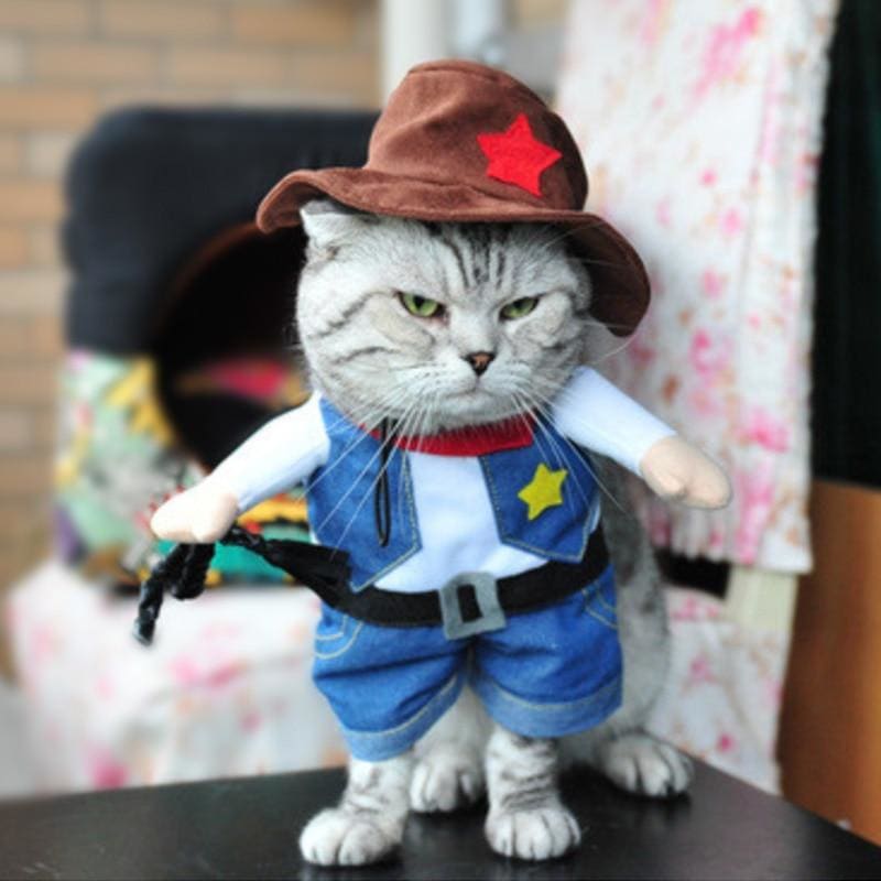 Clothing Cat Costume PARTYKAT™ Vaquero S