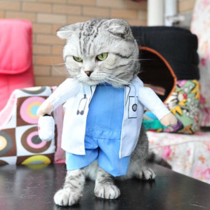 Clothing Cat Costume PARTYKAT™ Doctor S