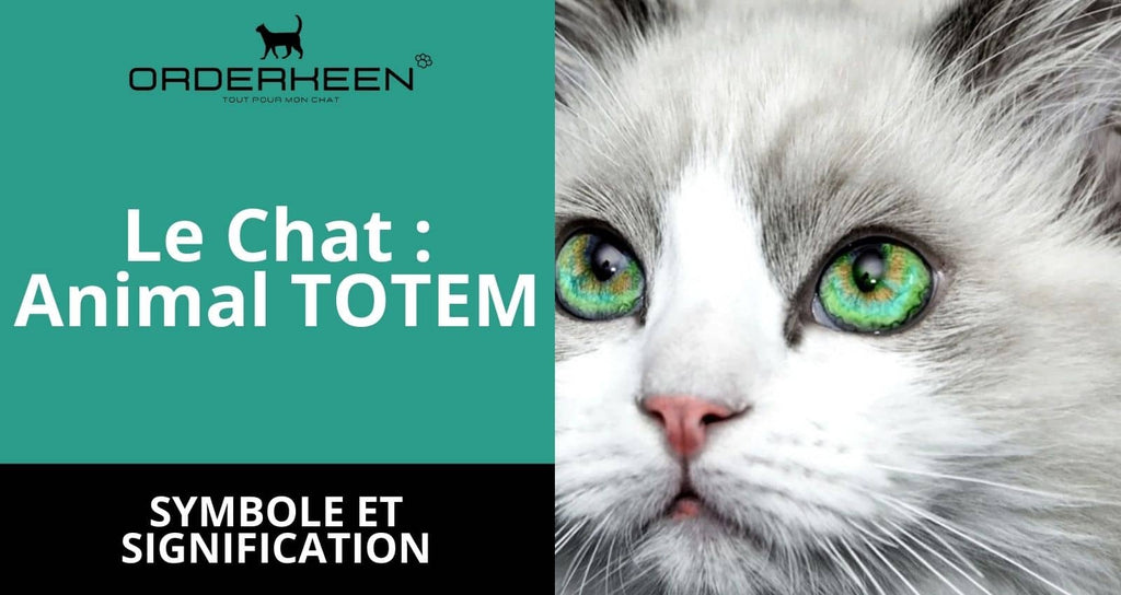The cat spiritual symbol and totem animal | Orderkeen