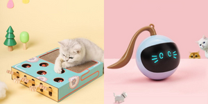 Orderkeen propose sur son site des jouets à chat destinés entre autres à divertir les chats. Notre sélection de jouets pour chats comprend un grand choix de matériaux et de formes qui seront adaptés à vos besoins. Ils sont solides et inoffensifs.