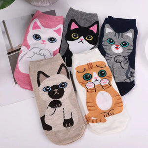 Calcetines con cara de gato SPRINGKAT™ (PACK DE 5 PARES)