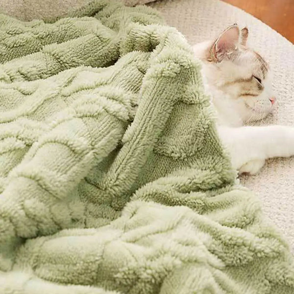 couverture chauffante pour chat