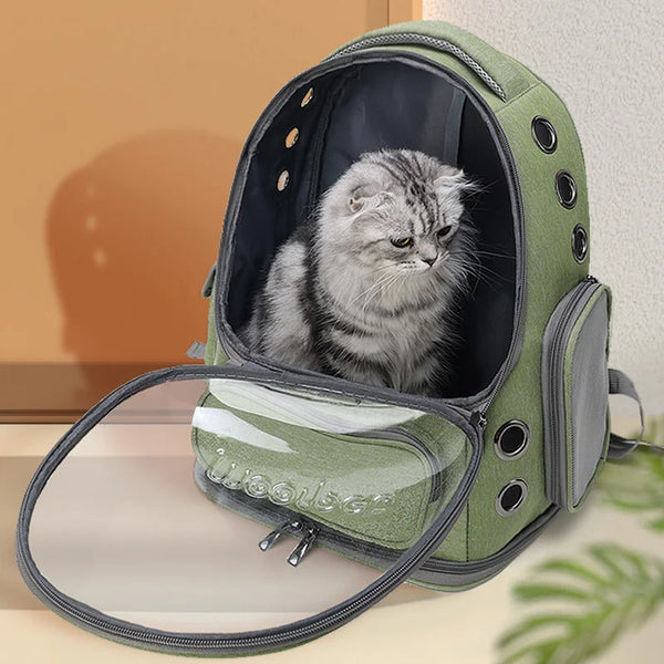 sac a dos bulle pour chat