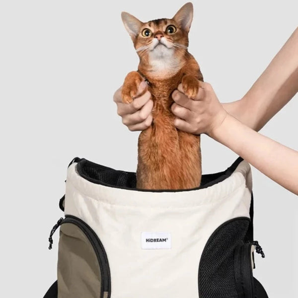 sac à dos ventral pour chat
