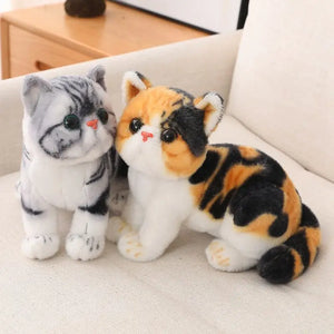 Chaton peluche shop