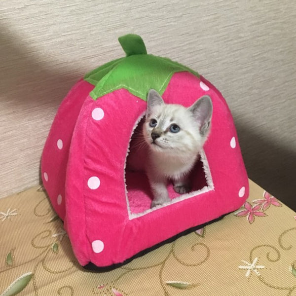 FRASYKAT™ Strawberry Cat House