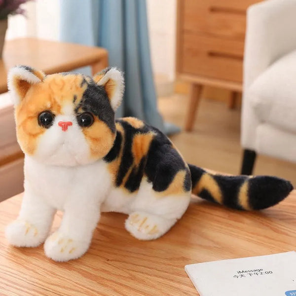 Coussin peluche chat kawaii PILOOKAT™  Kitten plush toy, Cat plush toy,  Cat plush