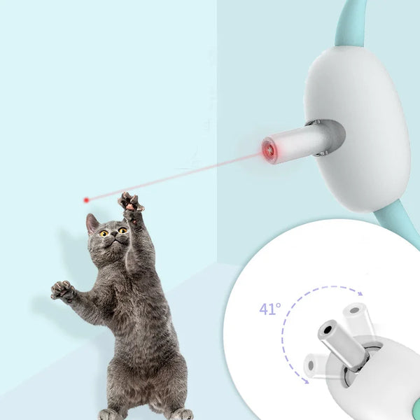 collier pour chat avec laser