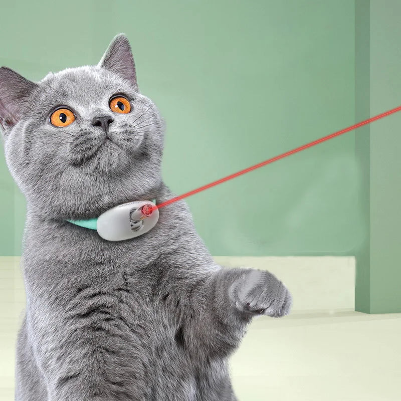 Laser Cat Collar | Orderkeen