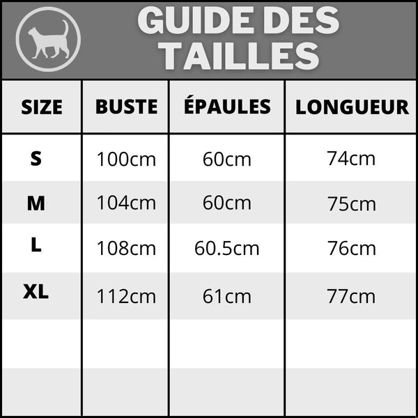 guide taille pull plaid chat