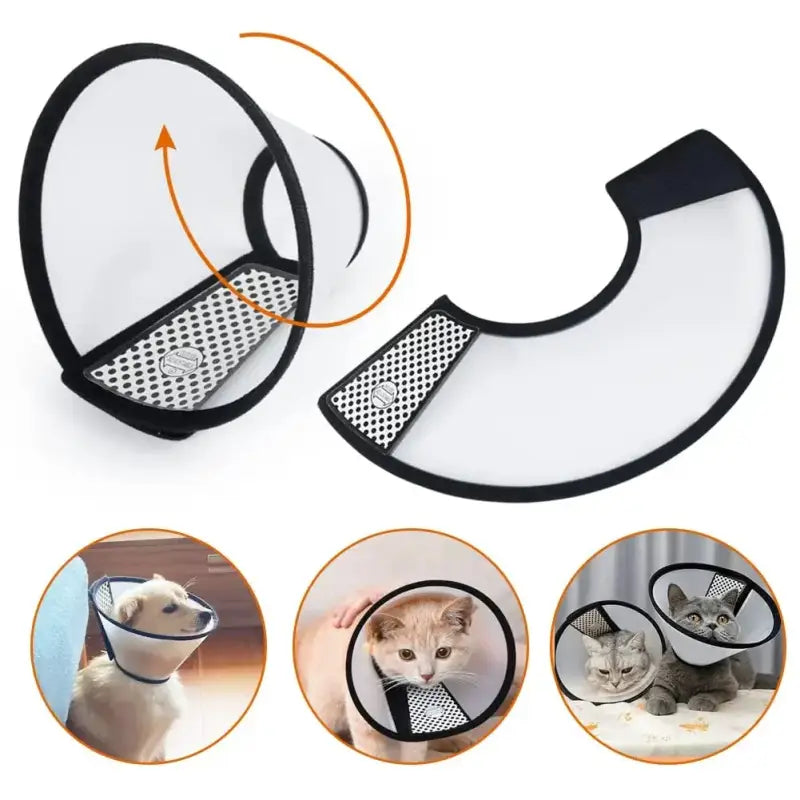Collerette pour Chat | Orderkeen