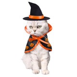 Costume Halloween pour chat MEYEKAT™ chat, Mon vêtements