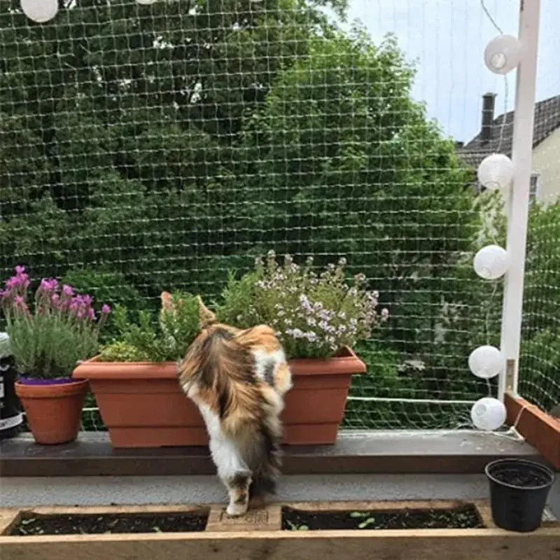 Filets Balcon Chat | Orderkeen