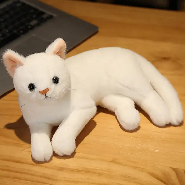 Chat blanc peluche sales