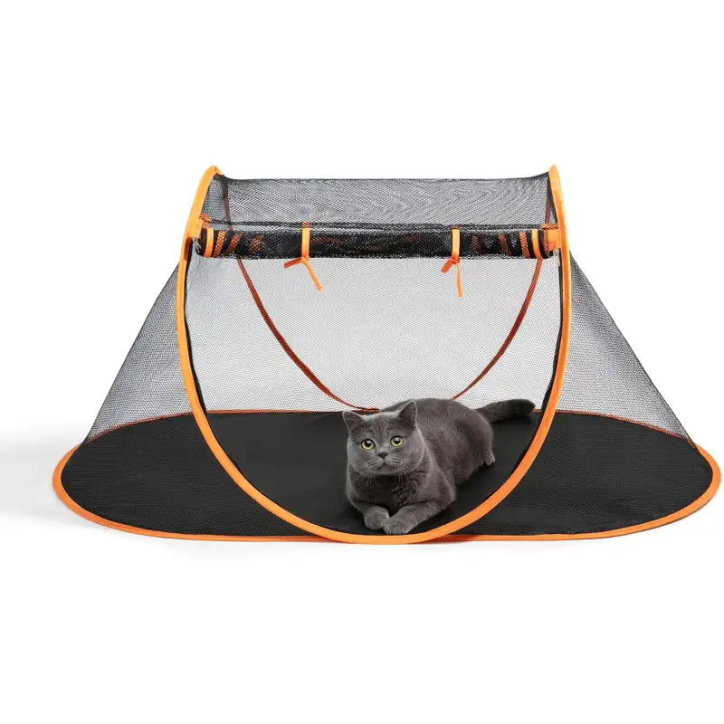 tente pour chat Tente Pour Chats