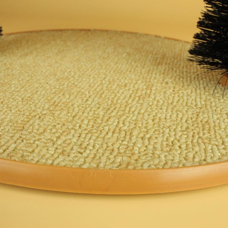 Grooming hoop collects hair for cats Orderkeen