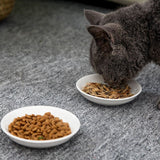 Assiette plate à décoration féline pour chat CERAKAT™ Bol plat, gamelle chat, gamelles / fontaines 