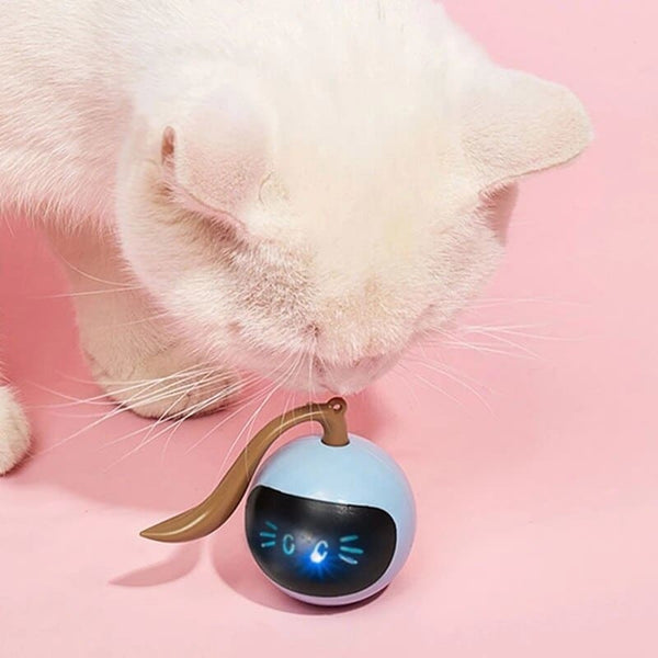 Balle interactive lumineuse pour chat CYBOKAT™ balle chat, balles, jouets, jouets intéractifs