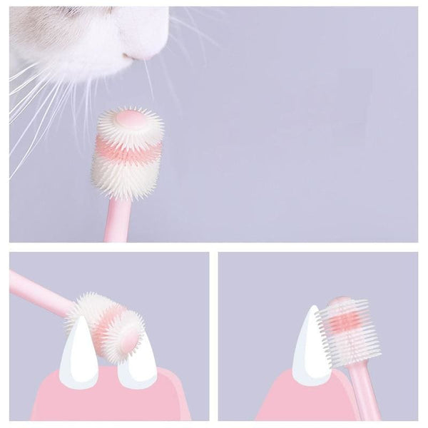 Brosse à dent Pour Chat BRUSHYKAT™ brosse chat, hygiène dentaire, Mon chat
