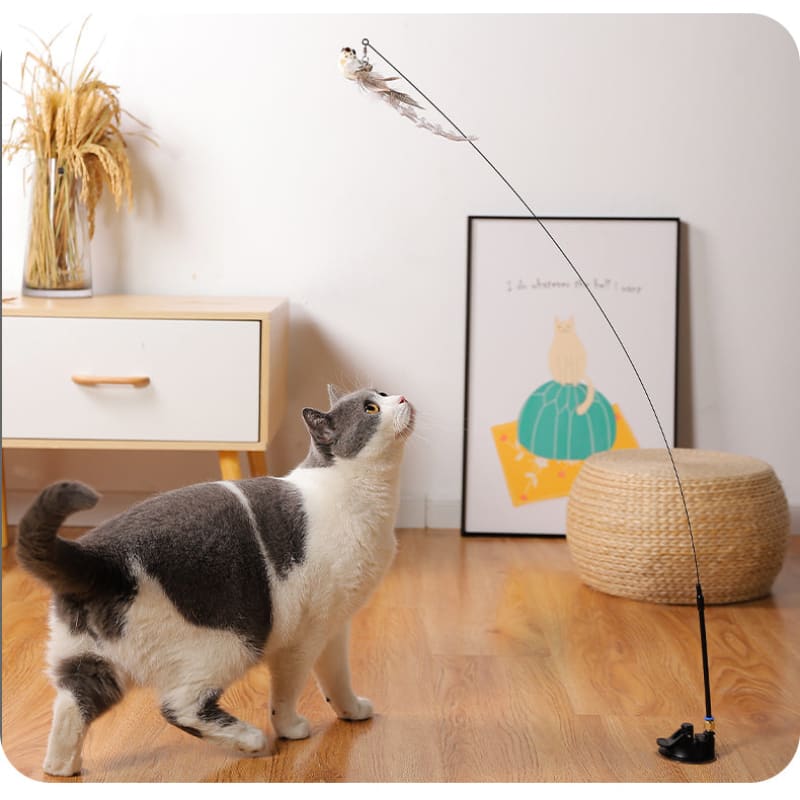 PLATEFORMES DE PÊCHE au poisson-chat Premium Bank avec haute visibilité couleu EUR 21,41