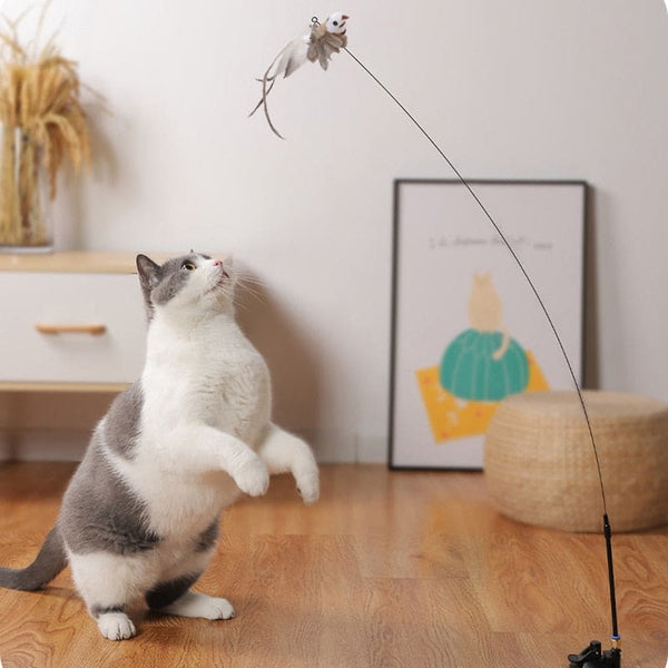 Canne a pêche oiseau réaliste pour chat BIRDYKAT™ chat, à flexible plume cannes pêche, jouets 