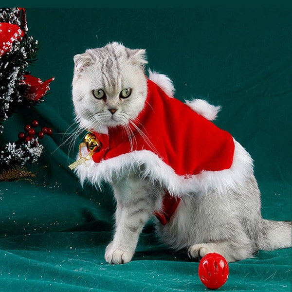 Cape de Noël pour chat CLOAKAT™ chat, Mon vêtements