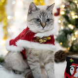 Cape de Noël pour chat CLOAKAT™ chat, Mon vêtements