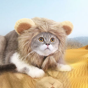 Capuche crinière de Lion pour chat LIONKAT™ chat, Mon vêtements