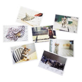 Carte postale Chats Mignons FREEKAT™ (Lot de 28 cartes) accessoires, carte postale, Description, 