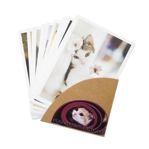 Carte postale Chats Mignons FREEKAT™ (Lot de 28 cartes) accessoires, carte postale, Description, 