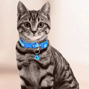 Collier Chat Avec Cloche COLSKAT™ colliers / harnais, Description, mon chat