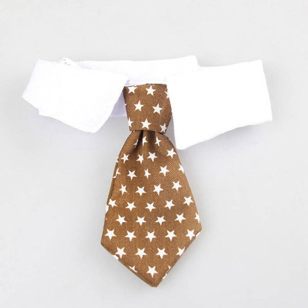 Collier col cravate pour chat COSUTKAT™ bandana chat, Mon vêtements