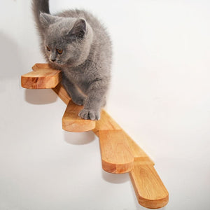 Echelle de parcours en bois pour chat JUMPYKAT™ chat, jeux intéractifs, Mon