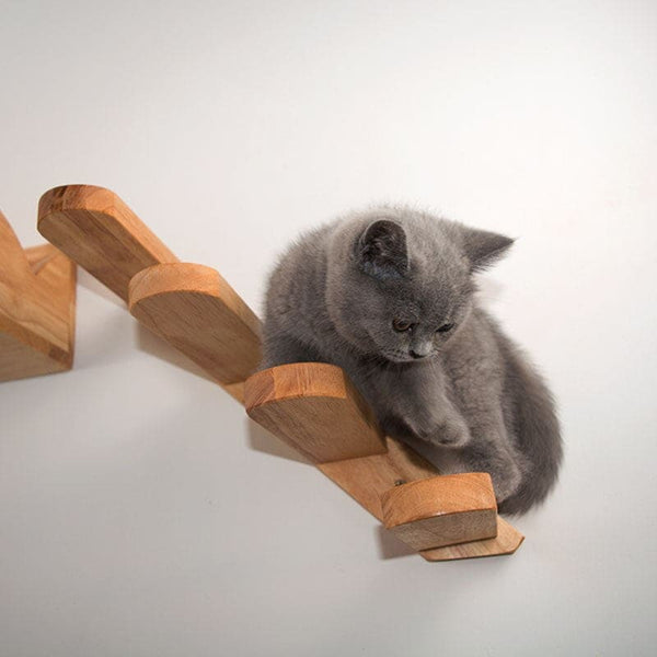 Echelle de parcours en bois pour chat JUMPYKAT™ chat, jeux intéractifs, Mon