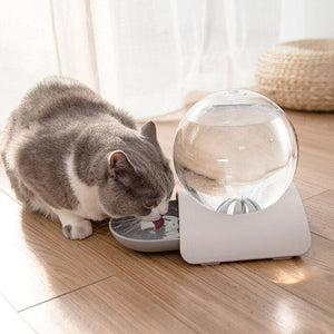 Fontaine à eau design 2.8 L pour chat BUBBLEKAT™ fontaine eau, chat, gamelles / fontaines Mon