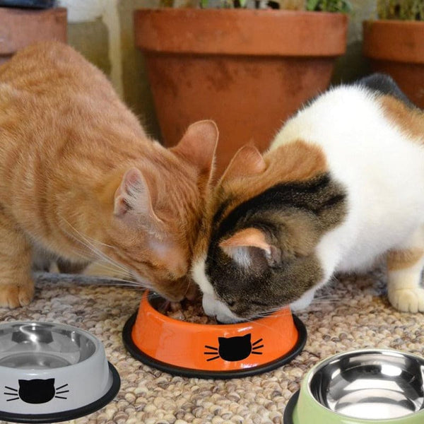 Gamelle Bol colorée en Inox imprimé tête de chat THIKAT™ chat, gamelle gamelles / fontaines à eau, 
