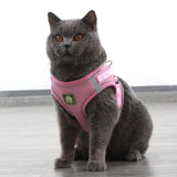 Harnais chat anti-évasion PUGKAT™ colliers / harnais, mon