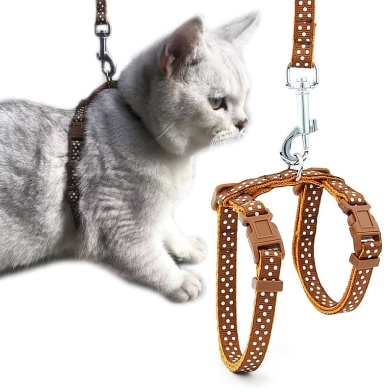 anti-escape cat harness