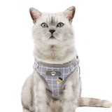 Harnais gilet strié avec laisse pour chat STRYKAT™ colliers / harnais, harnais chat, Mon vêtements