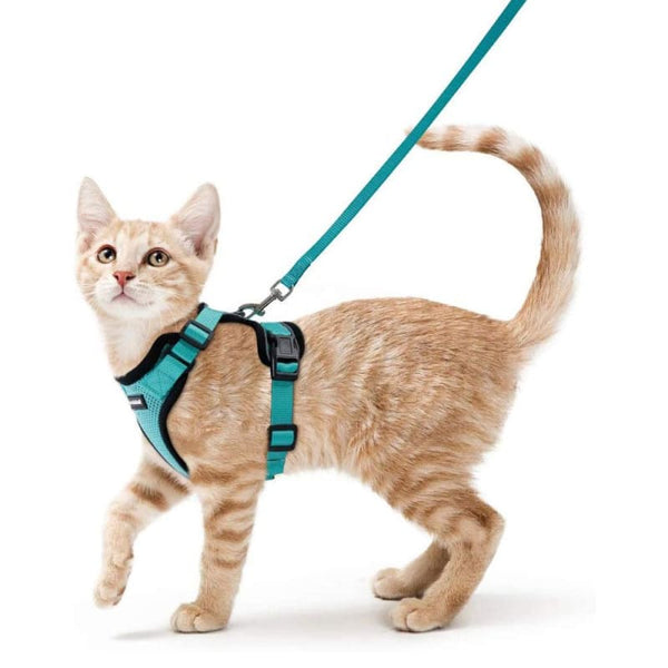 Harnais pour chat VESTKAT™ colliers / harnais, mon