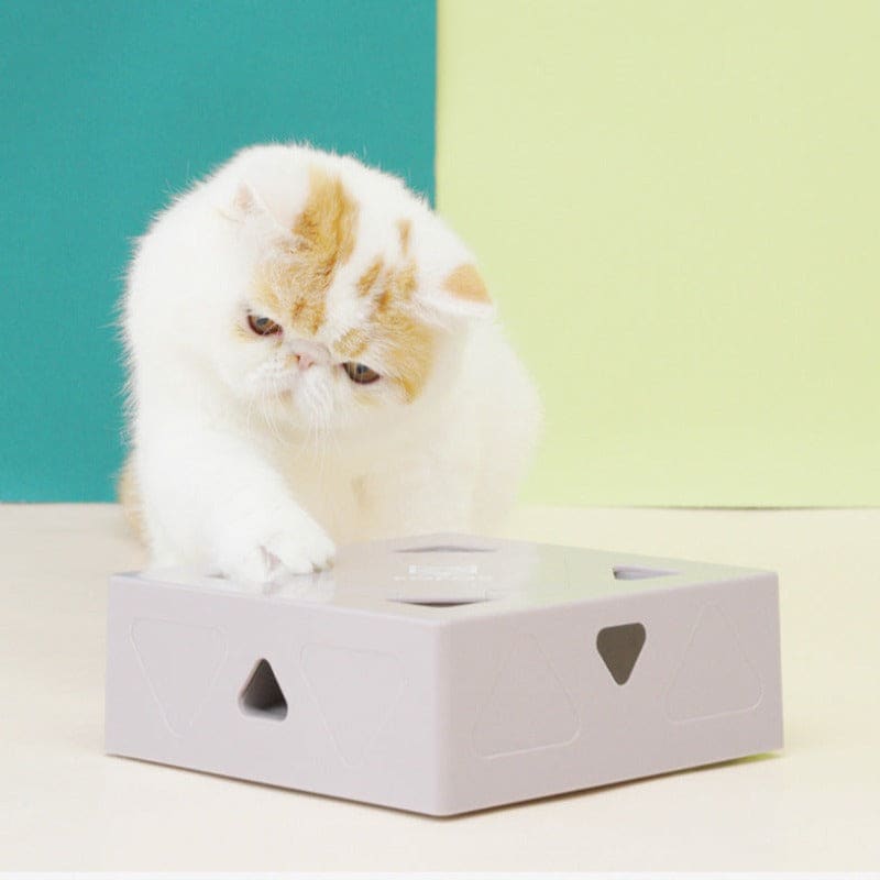 Interactive toy mouse catcher box for cat | Orderkeen